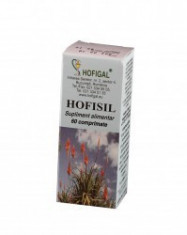 Hofisil 60 comprimate - Hofigal foto