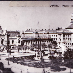 AMS - ILUSTRATA 963 ORADEA - VEDERE DIN PIATA VICTORIEI, 1963, CIRCULATA