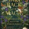 Take Back the Magic: Conversations with the Unseen World