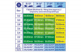 COMPRESOR AER 12V 10149, Alca