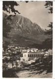 CPIB 18246 CARTE POSTALA - BUSTENI. VEDERE SPRE MUNTII BUCEGI, RPR, Circulata, Fotografie