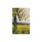 Tree Crops: A Permanent Agriculture