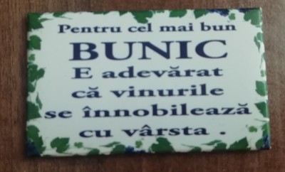 M3 C3 - Magnet frigider - Tematica declaratii - Pentru cel mai bun bunic foto