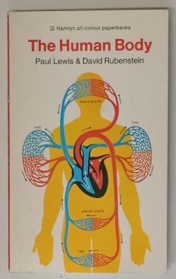 THE HUMAN BODY by PAUL LEWIS and DAVID RUBINSTEIN , illustrated by JOHN BAVOSI , 1975 foto