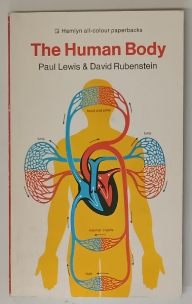 THE HUMAN BODY by PAUL LEWIS and DAVID RUBINSTEIN , illustrated by JOHN BAVOSI , 1975