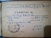 1966 carnet student Ecaterina Cincheza Buculei istoria artei multiple semnaturi