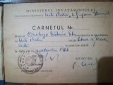 1966 carnet student Ecaterina Cincheza Buculei istoria artei multiple semnaturi