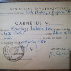 1966 carnet student Ecaterina Cincheza Buculei istoria artei multiple semnaturi