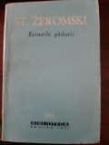 Ecourile padurii St.Zeromski 1964