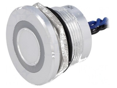 Comutator piezoelectric SPST-NO 0,2A/24VAC 0,2A/24VDC foto
