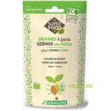 Seminte de Grau Spelta pentru Germinat Ecologice/Bio 200g