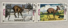 (B ) Timbre serii Straine tema Animale Fauna