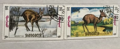 (B ) Timbre serii Straine tema Animale Fauna foto