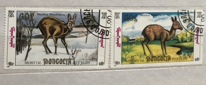 (B ) Timbre serii Straine tema Animale Fauna