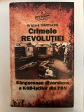 Crimele Revolutiei - Sangeroasa diversiune a KGB-istilor din FSN