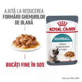 Royal Canin Hairball Care Adult hrana umeda pisica, limitarea ghemurilor de