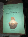 Neoliticul Banatului Planse / Gheorghe Lazarovici