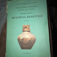 Neoliticul Banatului Planse / Gheorghe Lazarovici