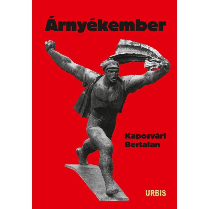 &Aacute;rny&eacute;kember - Kaposv&aacute;ri Bertalan