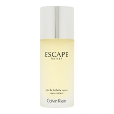 Calvin Klein Escape for Men eau de Toilette pentru barbati 100 ml foto