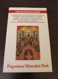 Pogorarea Sfantului Duh. Cele mai frumoase predici - Marius Vasileanu (ed.)