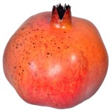Fruct Decorativ, Model Rodie, Plastic, Lungime 8cm, Oem