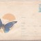 bnk ip Fluture - 1966 - necirculat