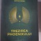 Trezirea Phoenixului. Cronicile Girku Vol.4 - Anton Parks