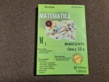 MATEMATICA CLASA A XII A -MANUAL BURTEA