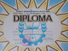 DIPLOMA PIONIER -PIONIERI - PTR. ACTIV DEPUSA LA STRANGEREA PLANTELOR MEDICINALE foto