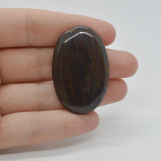 Cabochon iron tiger 43x27x6mm c9