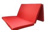 Saltea Gimnastica Pliabila 200x120x5 cm, Burete PPE 30kg/mc, Husa Lavabila, Fitness, Yoga, Pilates