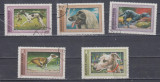 A12 S4 5 - Timbre foarte vechi - Ungaria - rase de ogari, Fauna, Stampilat