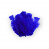 Set 20 pene decorative curca, lungime 10 - 15 cm, Albastru regal, Crisalida