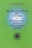 Cumpara ieftin Liviu Andronovici - Drumul sufletului prin univers cu puterile lui pana la cine