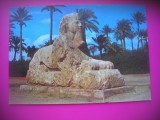 HOPCT 6863 SFINXUL DIN SAKKARA -GIZA . -EGIPT -AFRICA-NECIRCULATA