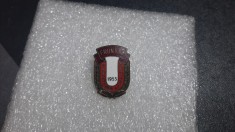 Insigna Fruntas in cresterea Animalelor 1955 foto