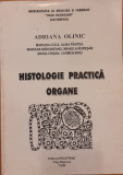 Histologie practica Organe