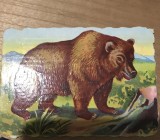 (2) Act Surprize reclama la Cafea Brasov