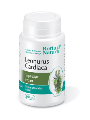 Leonurus cardiaca - talpa gastei extract 30cps rotta natura foto