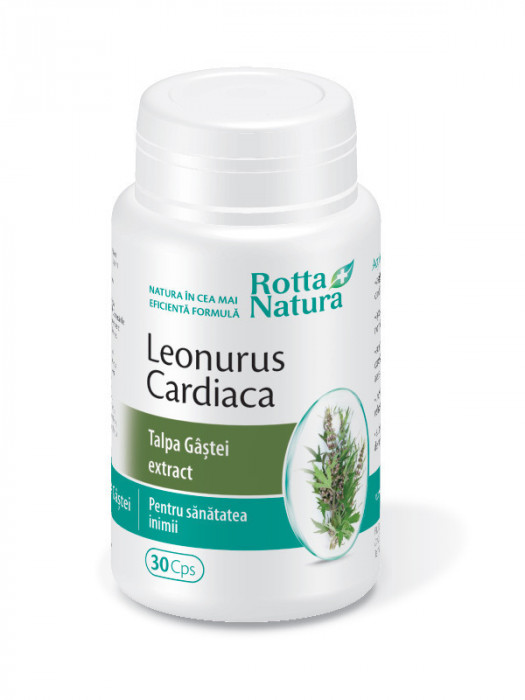 Leonurus cardiaca - talpa gastei extract 30cps rotta natura