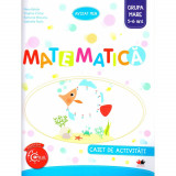 Matematica. Caiet de Activitati. Grupa Mare 5-6 Ani, Litera Educational