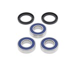 Set rulmenti roata spate Suzuki RM 125 250 00- 08