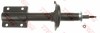 Amortizor PEUGEOT BOXER bus (244, Z) (2001 - 2016) TRW JHM194S