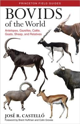 Bovids of the World: Antelopes, Gazelles, Cattle, Goats, Sheep, and Relatives foto