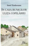 In casa bunicilor. Ulita copilariei - Ionel Teodoreanu