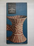 L&#039;art prehistorique en Roumanie (ARTA PREISTORICA IN ROMANIA) - VLADIMIR DUMITRESCU