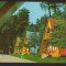 CPIB 21312 CARTE POSTALA - TOPLITA. CAMPING LA BAILE BRADUL