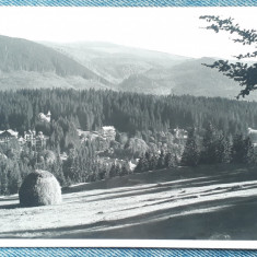 97 - Borsec ,vedere peisaj, Borszek - Reszletes latkep / carte postala