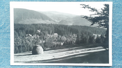 97 - Borsec ,vedere peisaj, Borszek - Reszletes latkep / carte postala foto